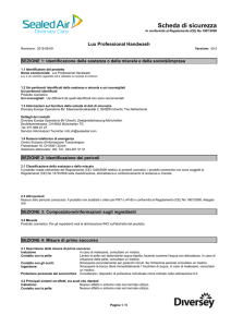 Scheda di sicurezza