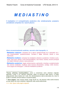 Apparato respiratorio