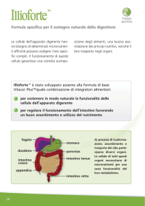 Formula specifica per il sostegno naturale della