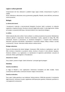 programma centro studi - Tecnici della Prevenzione