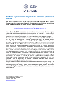 Distrofia dei cingoli: individuato collegamento con difetto nella