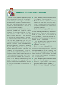 intossicazione da cianuro