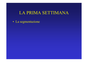 Presentazione di PowerPoint
