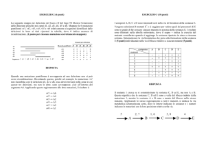 visualizza