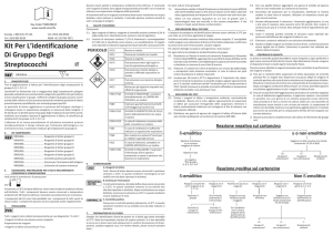Kit Per L`identificazione Di Gruppo Degli Streptococchi