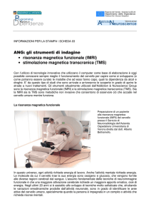 stimolazione magnetica transcranica (TMS)