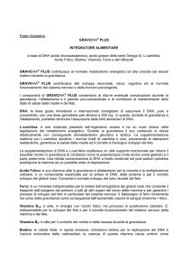 Foglio illustrativo GRAVIDHA® PLUS INTEGRATORE ALIMENTARE