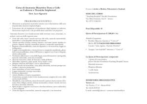 Corso di Anatomia Dissettiva Testa e Collo su Cadavere e Tecniche