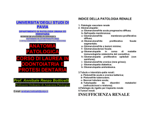 indice della patologia renale