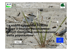 Intervento Dott. Puglisi 9 maggio