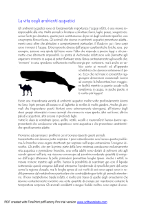 scheda ambienti acquatici