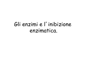 Gli enzimi e l`inibizione enzimatica. - e