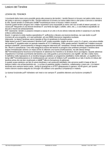 Lesioni del Tendine - chirurgiaManoArtale.it