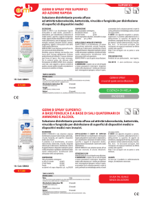 GERM B SPRAY SUPERFICI A BASE FENOLICA E A BASE DI SALI