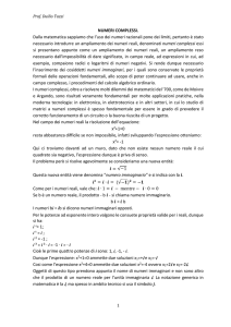 NUMERI COMPLESSI. Dalla matematica sappiamo che l`uso dei