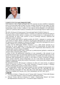 CURRICULUM VITAE prof. Giulio ZUCCARO Giulio Zuccaro