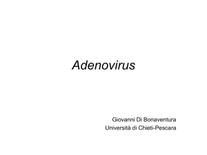 Adenovirus