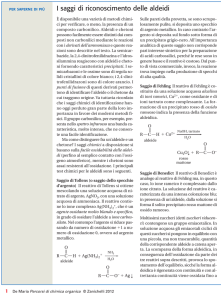 I saggi di riconoscimento delle aldeidi