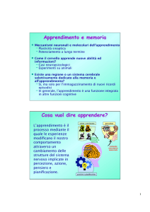 Apprendimento e memoria Cosa vuol dire apprendere?