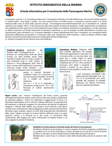 Scheda Posidonia