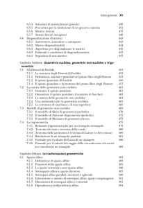 Capitolo Settimo Geometria euclidea, geometrie non