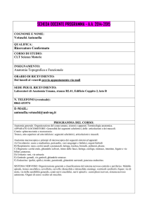 Anatomia e caratteristiche morfofunzionali dell`unità