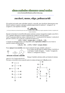 zuccheri