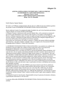 Allegato 12c