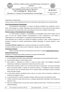 MU 31 Informativo e Consenso Eco TEE