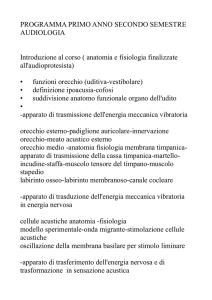 PROGRAMMA PRIMO ANNO SECONDO SEMESTRE AUDIOLOGIA