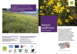 Scheda Senecio - Institut Agricole Régional