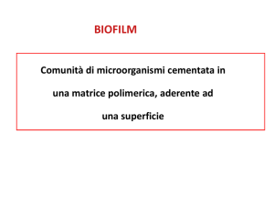 Diapositiva 1