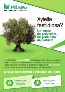Xylella fastidiosa?