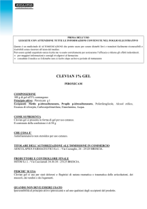 Foglio illustrativo Clevian Gel