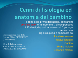Cenni di fisiologia ed anatomia del bambino