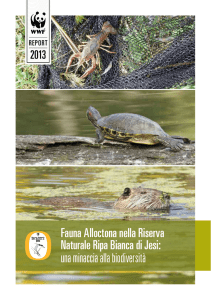 Fauna Alloctona nella Riserva Naturale Ripa Bianca di Jesi: una