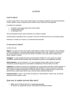 LA SALIVA