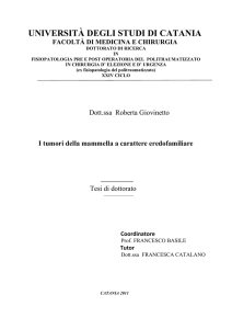 UNIVERSITÀ DEGLI STUDI DI CATANIA