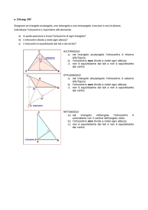 Problemi 207, 214, 218, 219 pag.207