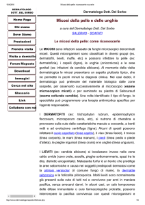 Micosi della pelle e delle unghie