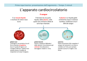 Primo input teorico