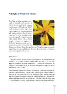 Allergia al veleno di insetti