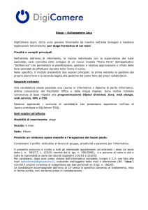 Stage – Sviluppatore Java DigiCamere Scarl, cerca un/a giovane