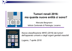 Tumori renali 2016: ma quante nuove entità ci sono?