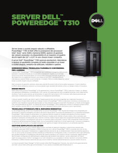 SERVER DELLTM POWEREDGETM T310