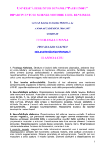 pari - Parthenope