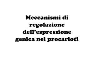 Meccanismi di regolazione dell`espressione genica nei procarioti
