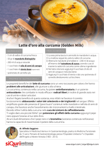 in formato PDF