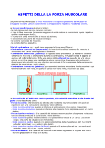 aspetti della la forza muscolare