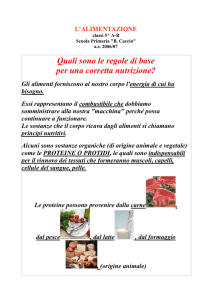 scarica l`intero progetto in formato pdf 378KB